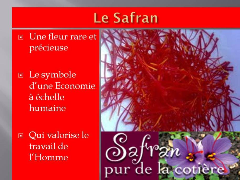 safran blog